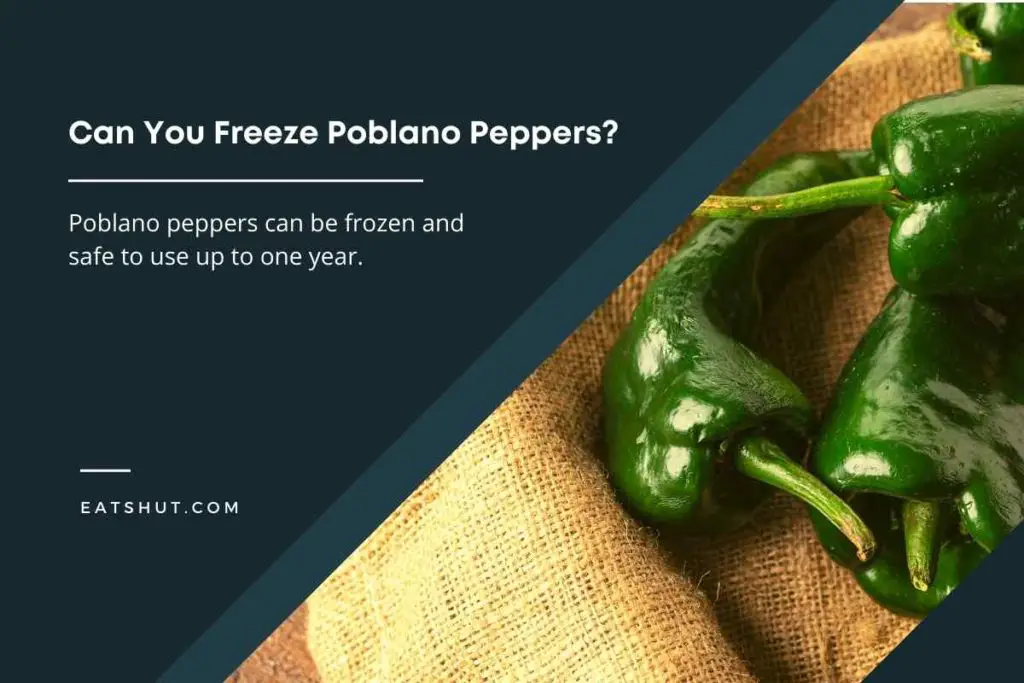 can-you-freeze-poblano-peppers-explained