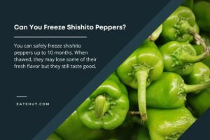 Can You Freeze Shishito Peppers [Explained!]