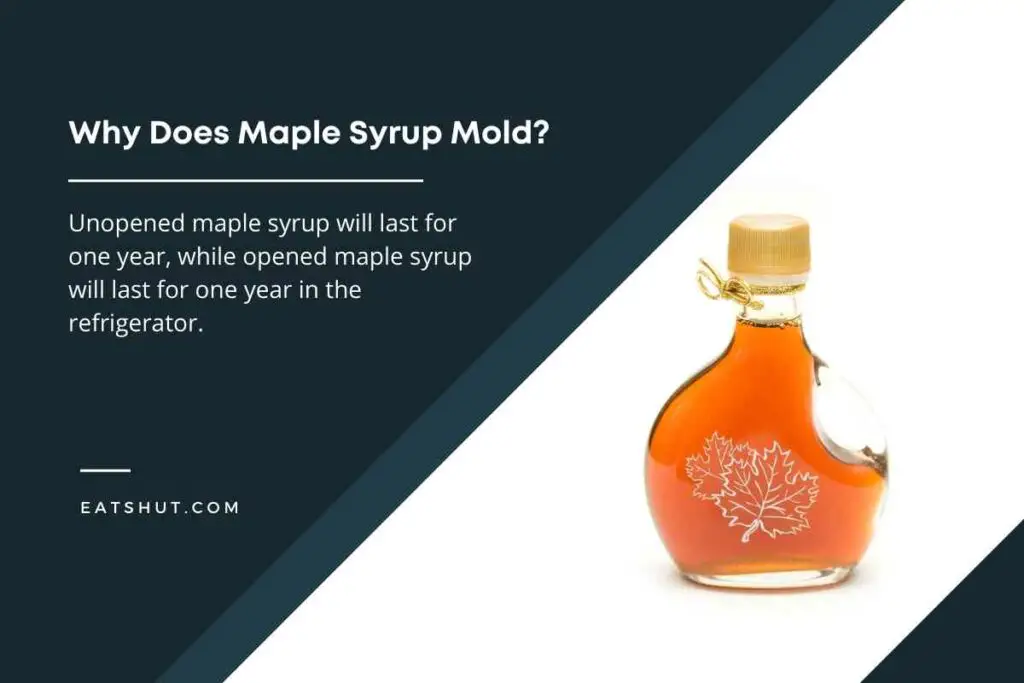 why-does-maple-syrup-mold