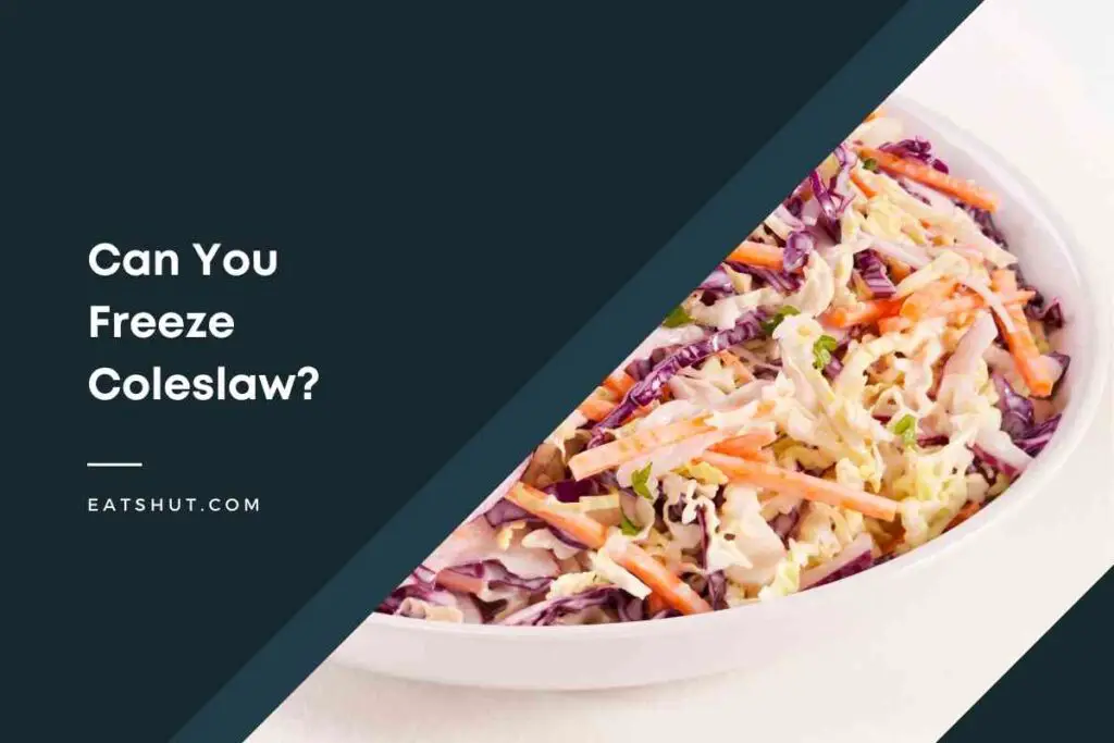 Can You Freeze Coleslaw 1024x683 