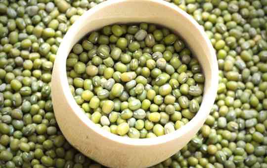 Do Mung Beans Give You Gas