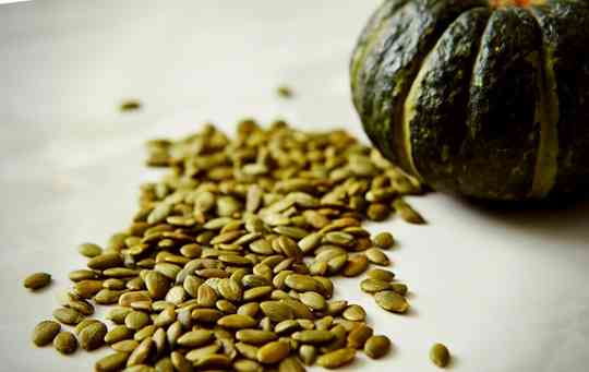 What Does Pumpkin Seed Taste Like?