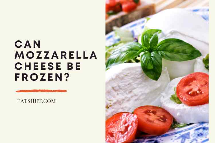 Can Mozzarella Cheese Be Frozen