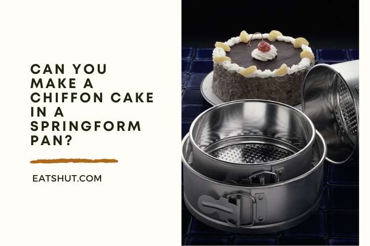 Can You Make A Chiffon Cake In A Springform Pan