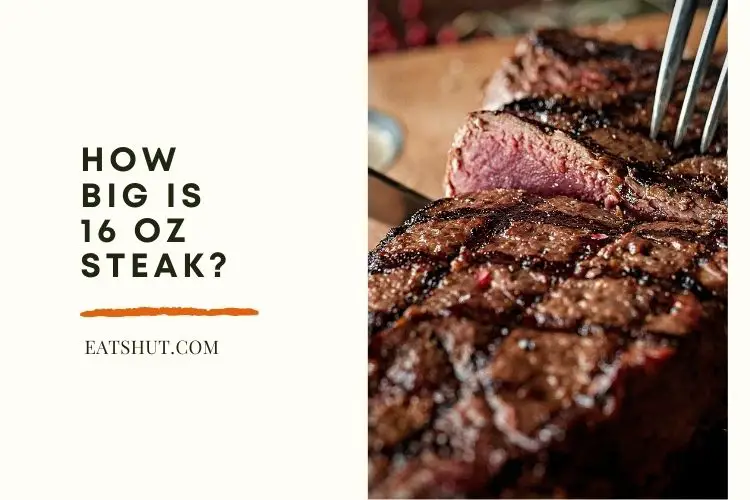 how-big-is-16-oz-steak