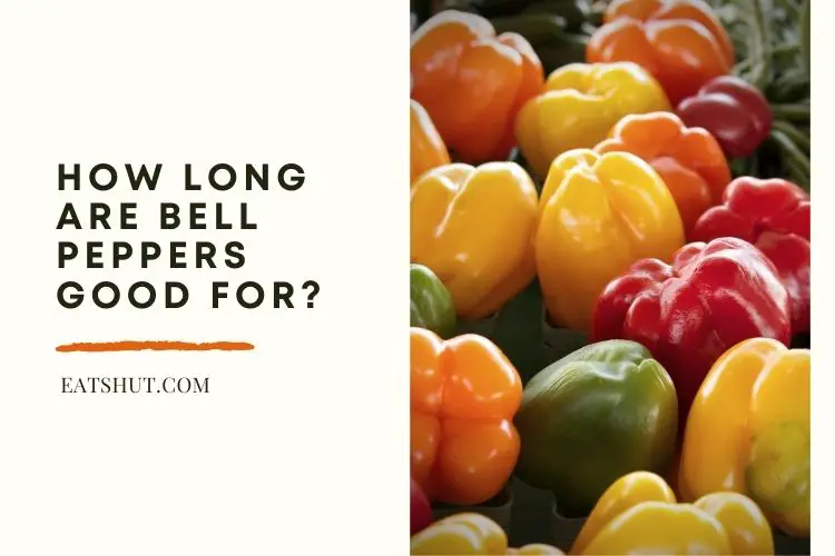 How Long Are Bell Peppers Good for?